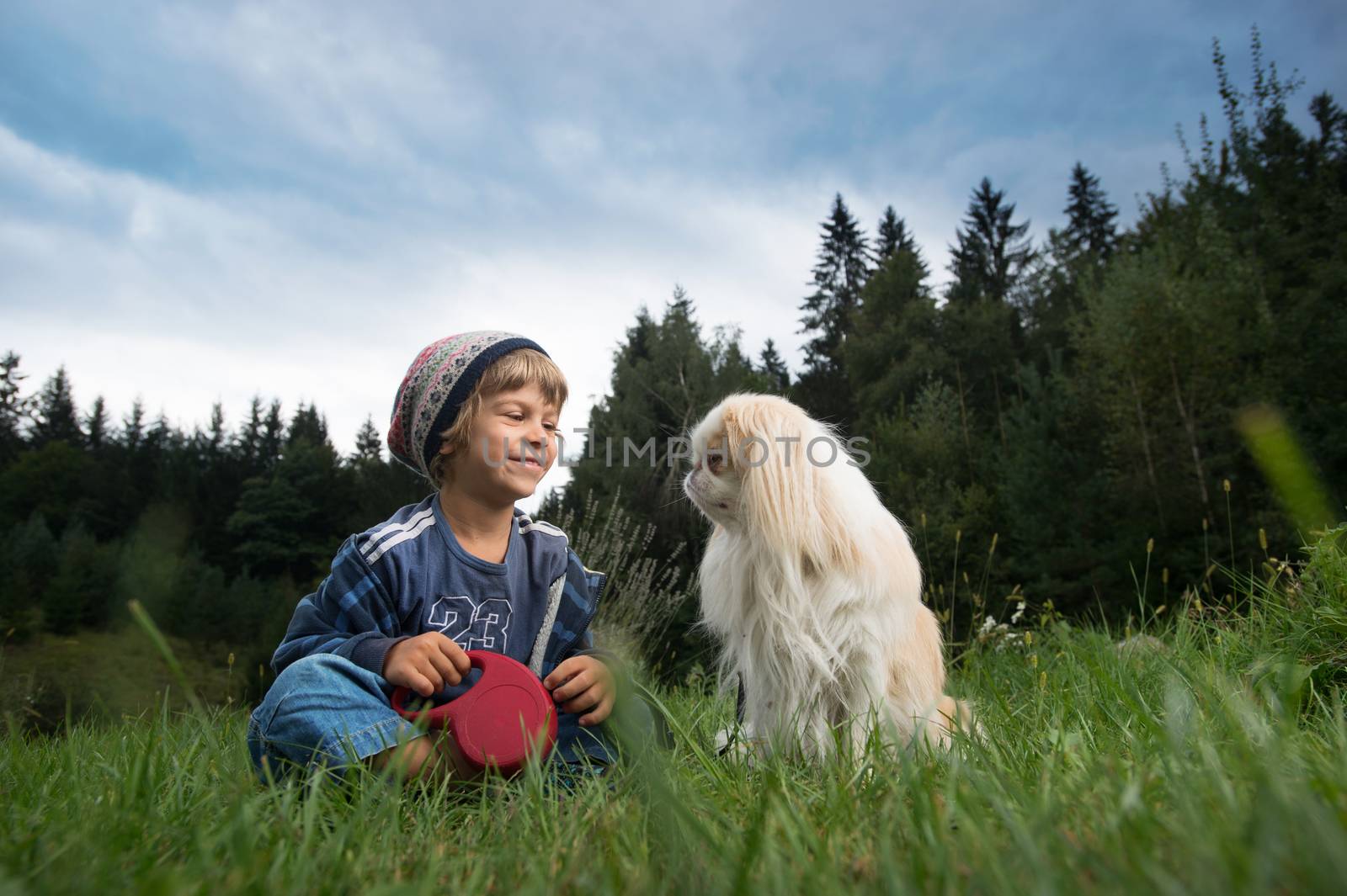 Cute little boy sitting in the meadow smiling at his dog  Best friends concept.