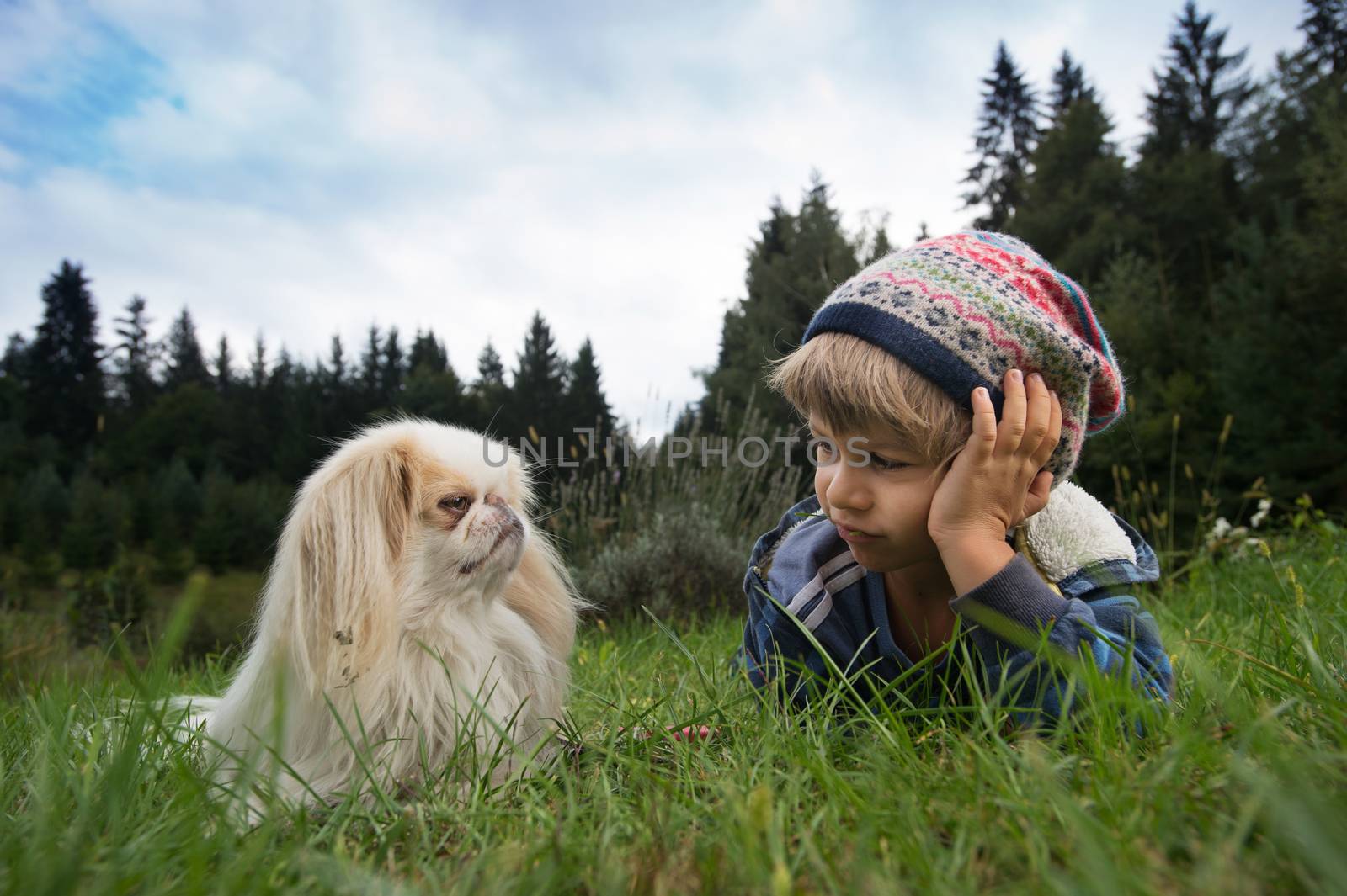 Cute little boy and his dog sitting in the meadow looking at each other. Best friends concept.