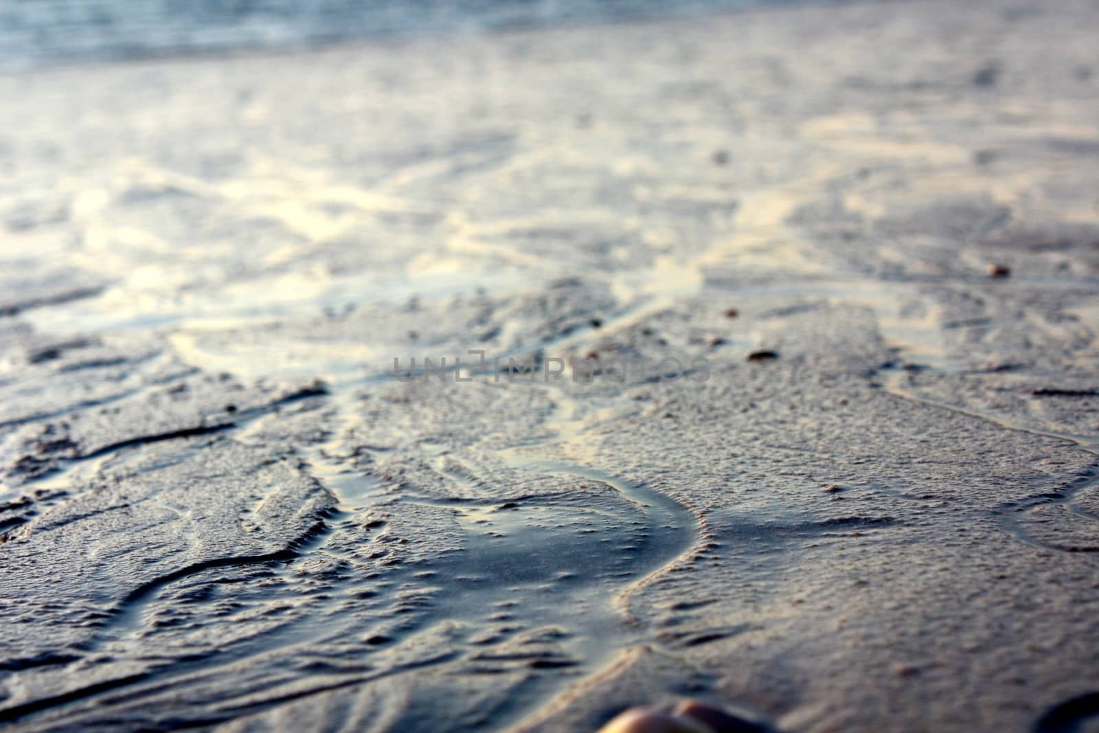 the sand on the beach by mikkel76