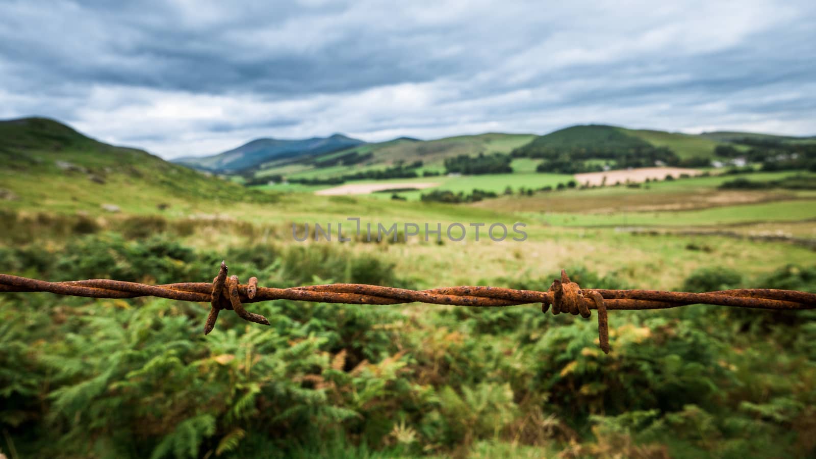 Scenic Lanscape With Barbwire by mrdoomits
