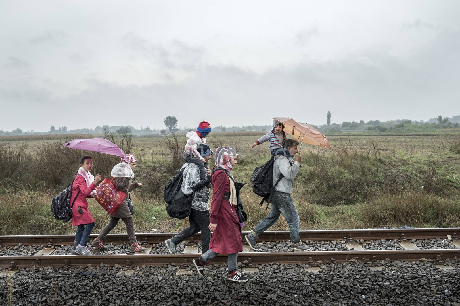 HUNGARY - REFUGEE CRISIS - ROSZKE CAMP by newzulu