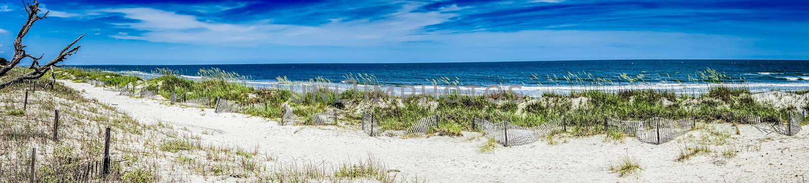 nature scenes around hunting island south carolina by digidreamgrafix