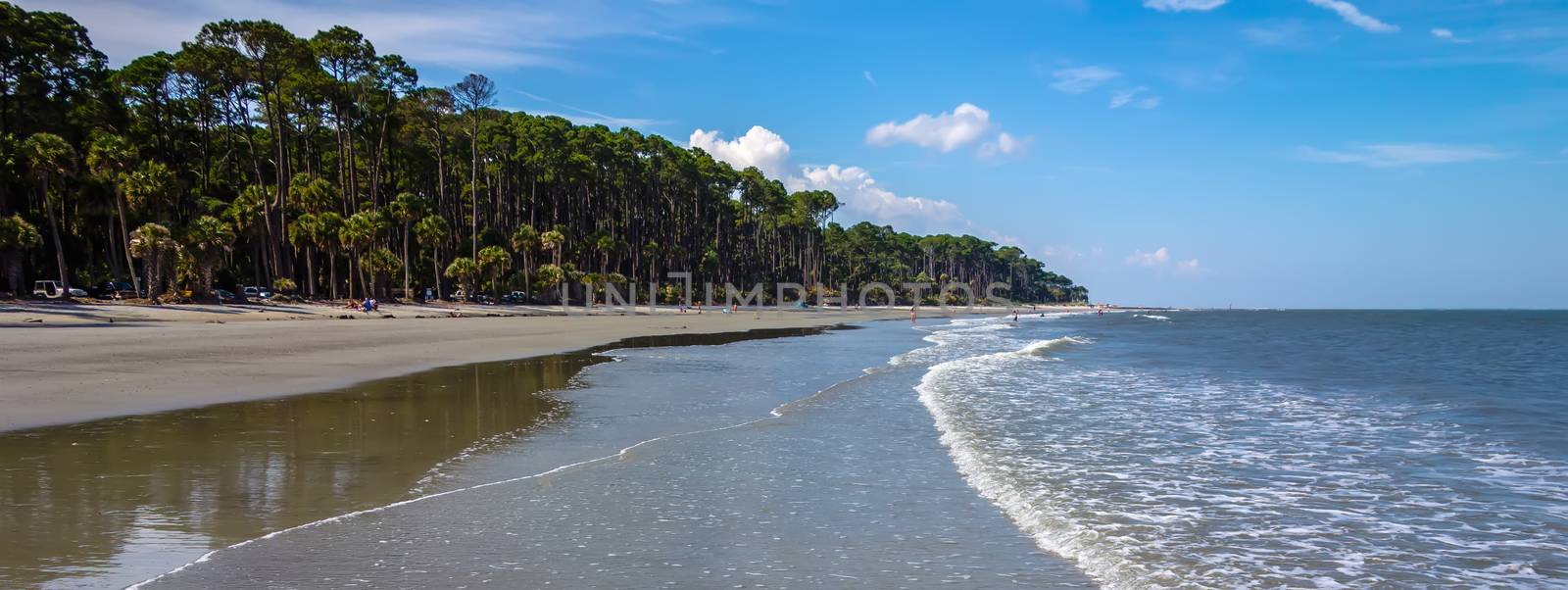 nature scenes around hunting island south carolina