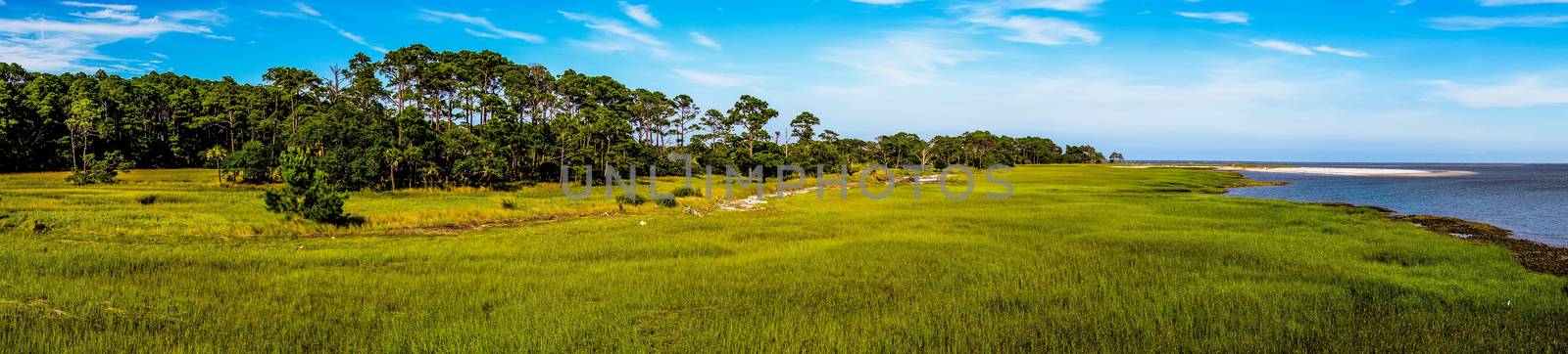 nature scenes around hunting island south carolina