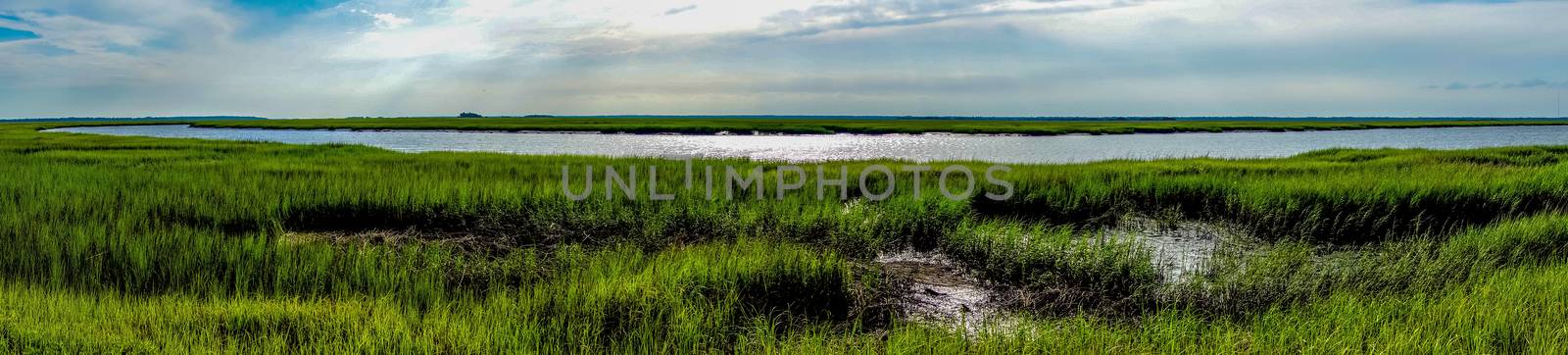 nature scenes around hunting island south carolina