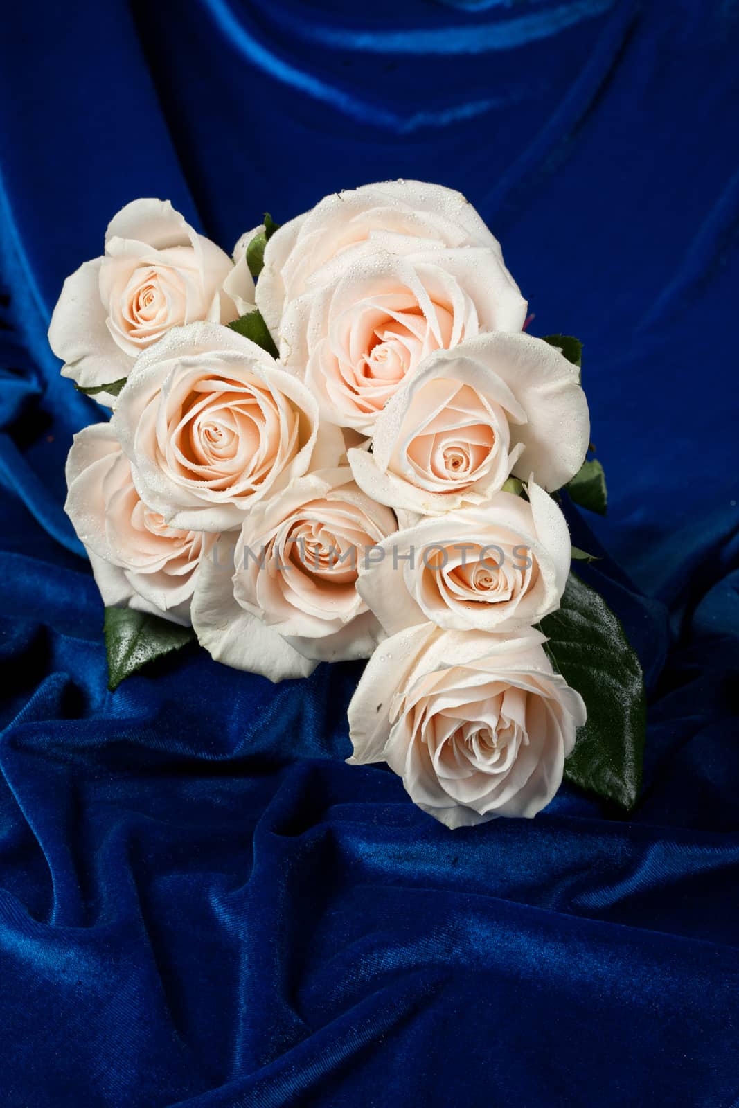 Still life with flowers on a studio background