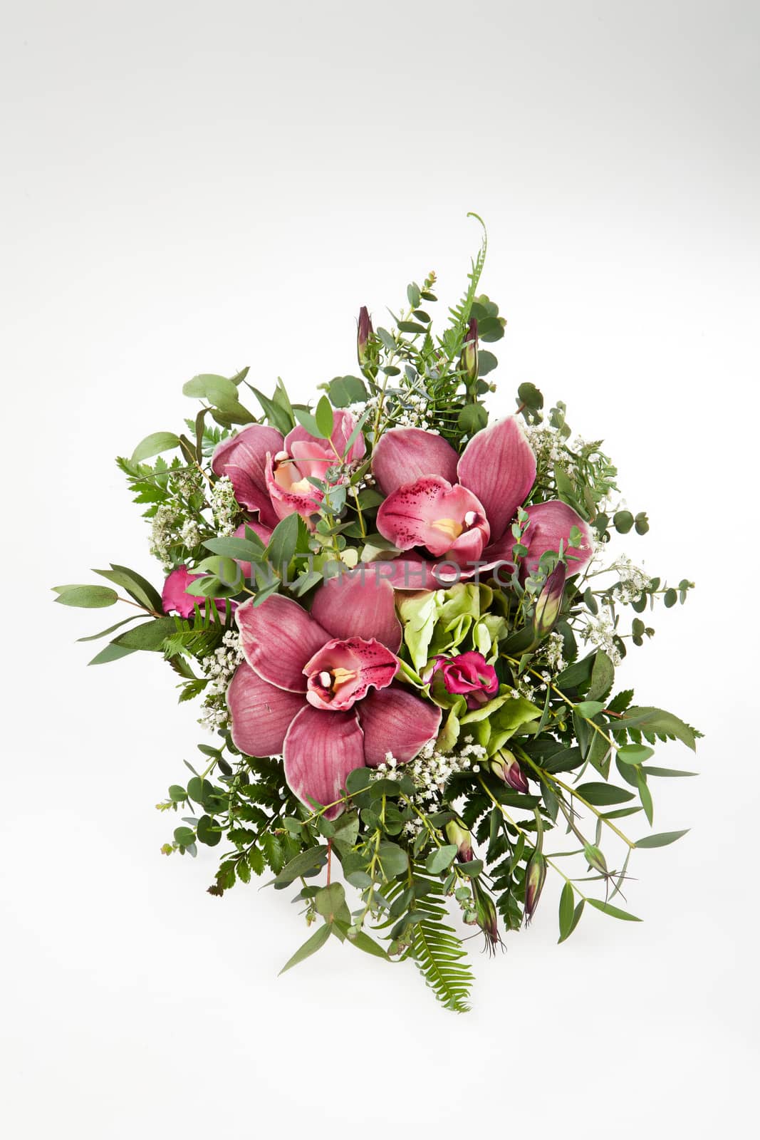 Still life with flowers on a studio background