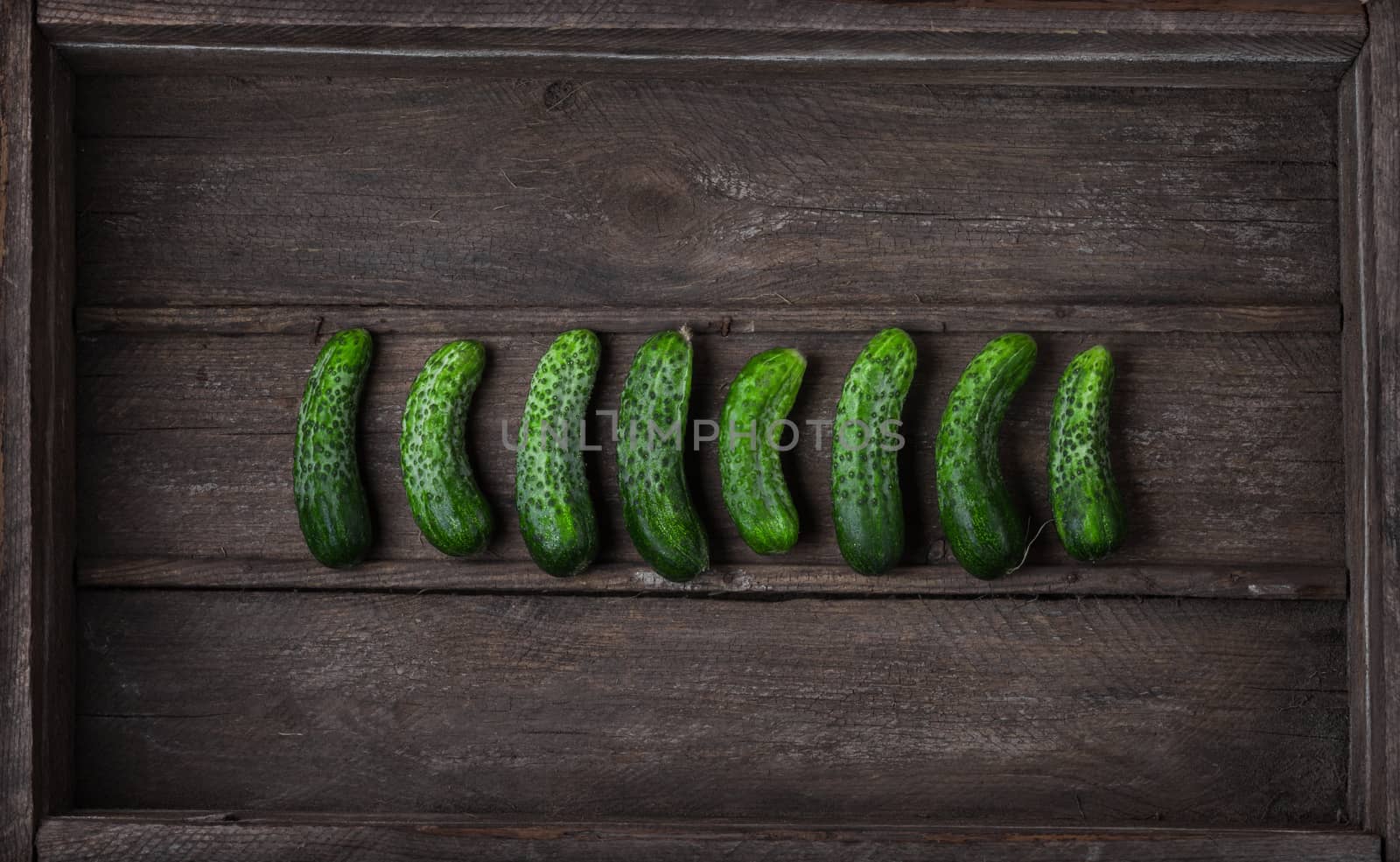 A series of fresh small cucumbers in old wooden box, top view. Breakfast for raw foodists.