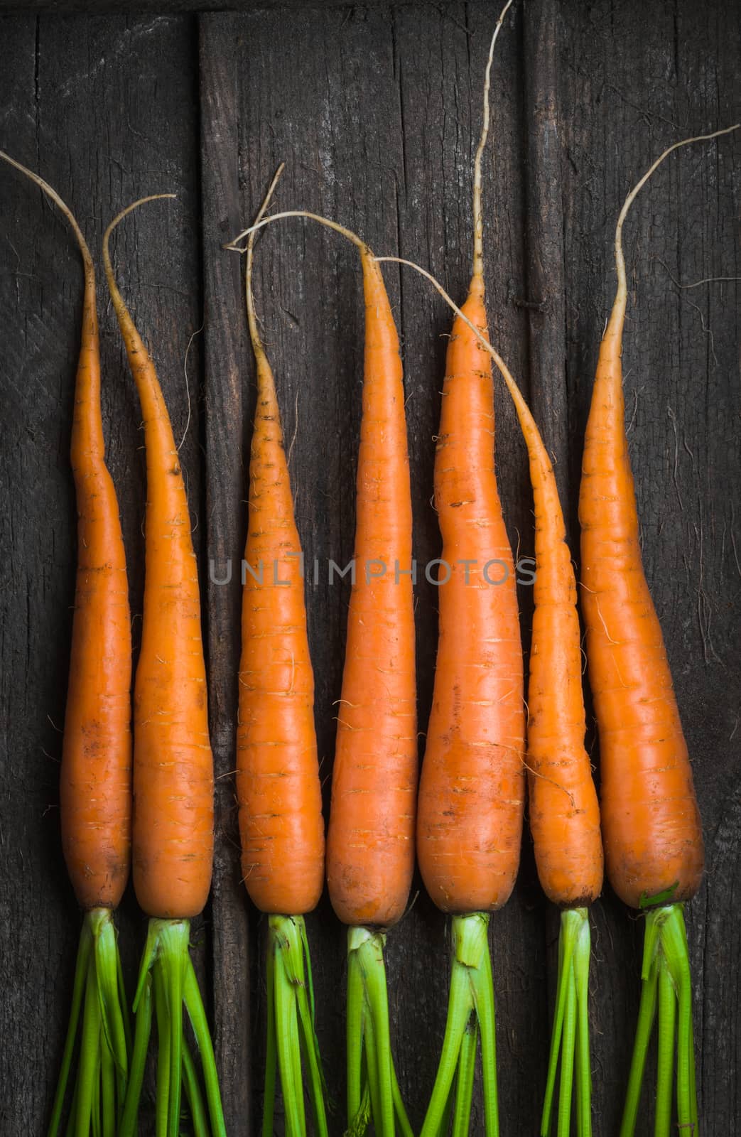 Fresh young carrots in an old wooden box top view close up