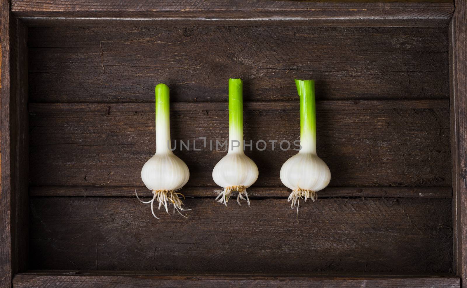 Fresh young garlic in an old wooden box top view close up