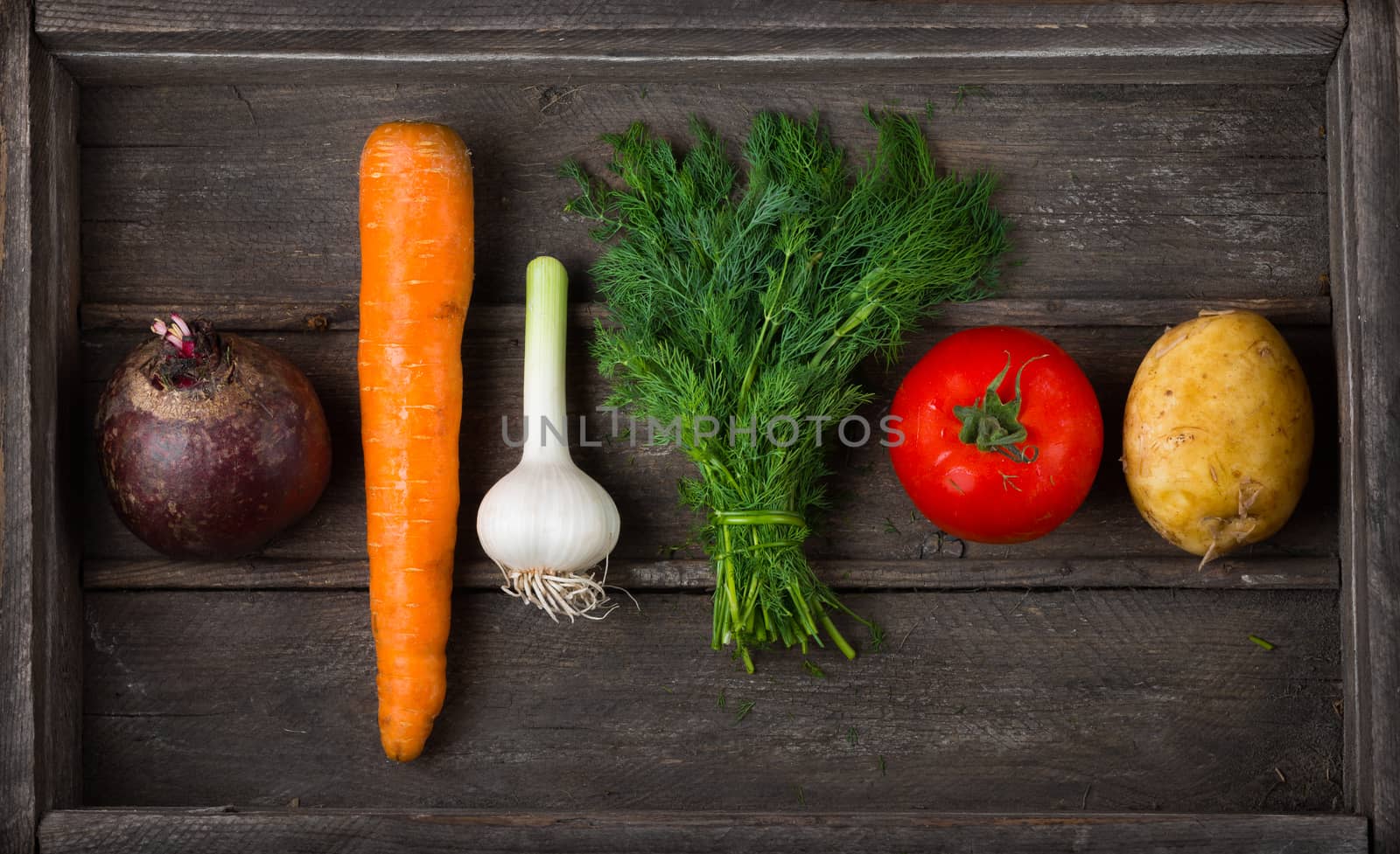 Set of different fresh raw vegetables by iprachenko