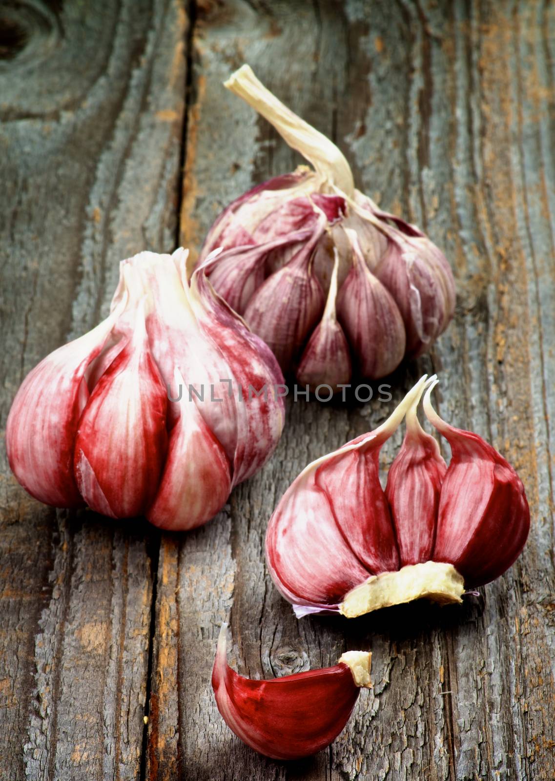 Fresh Raw Pink Garlic Full Body and Lobule closeup on Rustic Wooden background