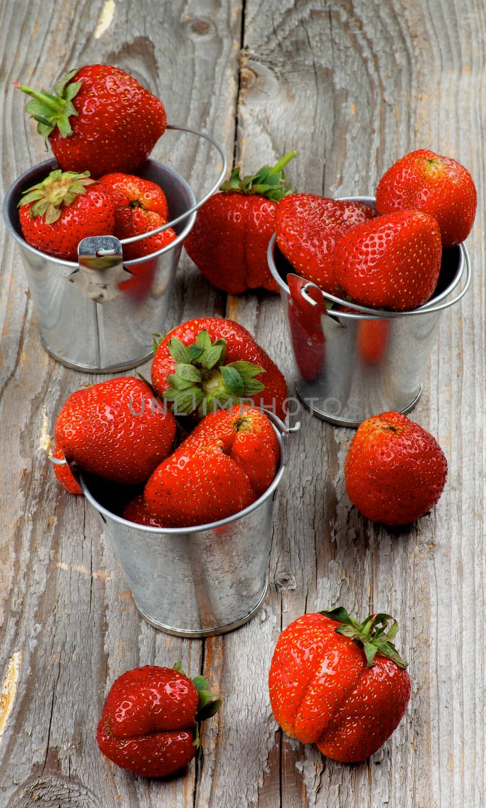 Fresh Ripe Strawberries in Three Tin Buckets closeup on Rustic Wooden background