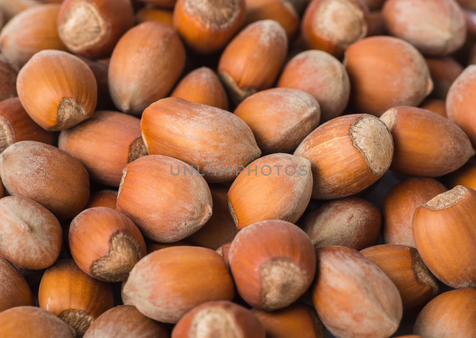 Fresh natural brown hazelnut as background,  closeup