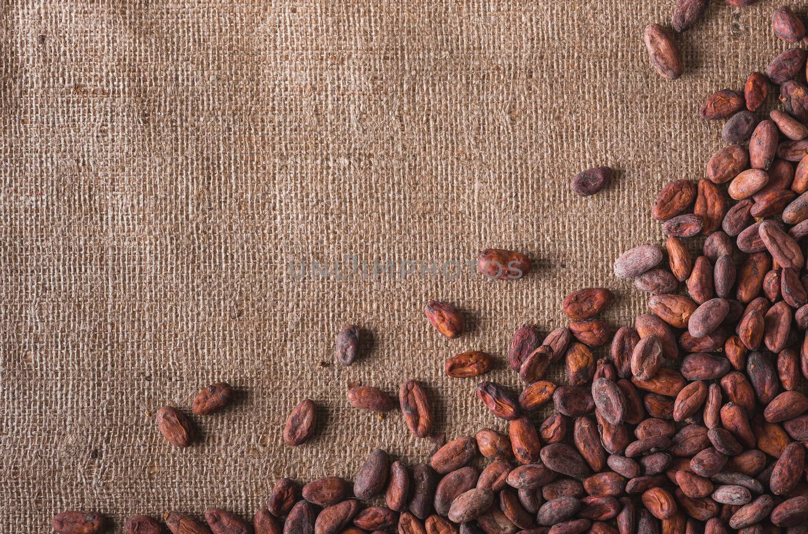 Raw cocoa beans on burlap top view from ,  close up