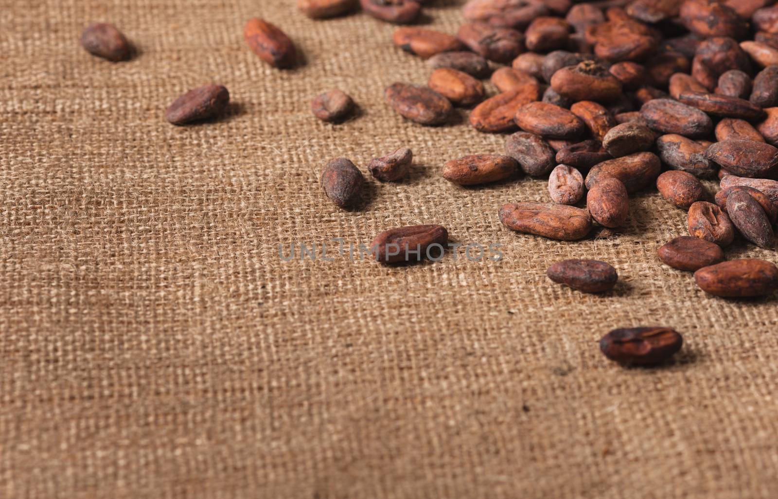  Raw cocoa beans on  sacking close-up by iprachenko