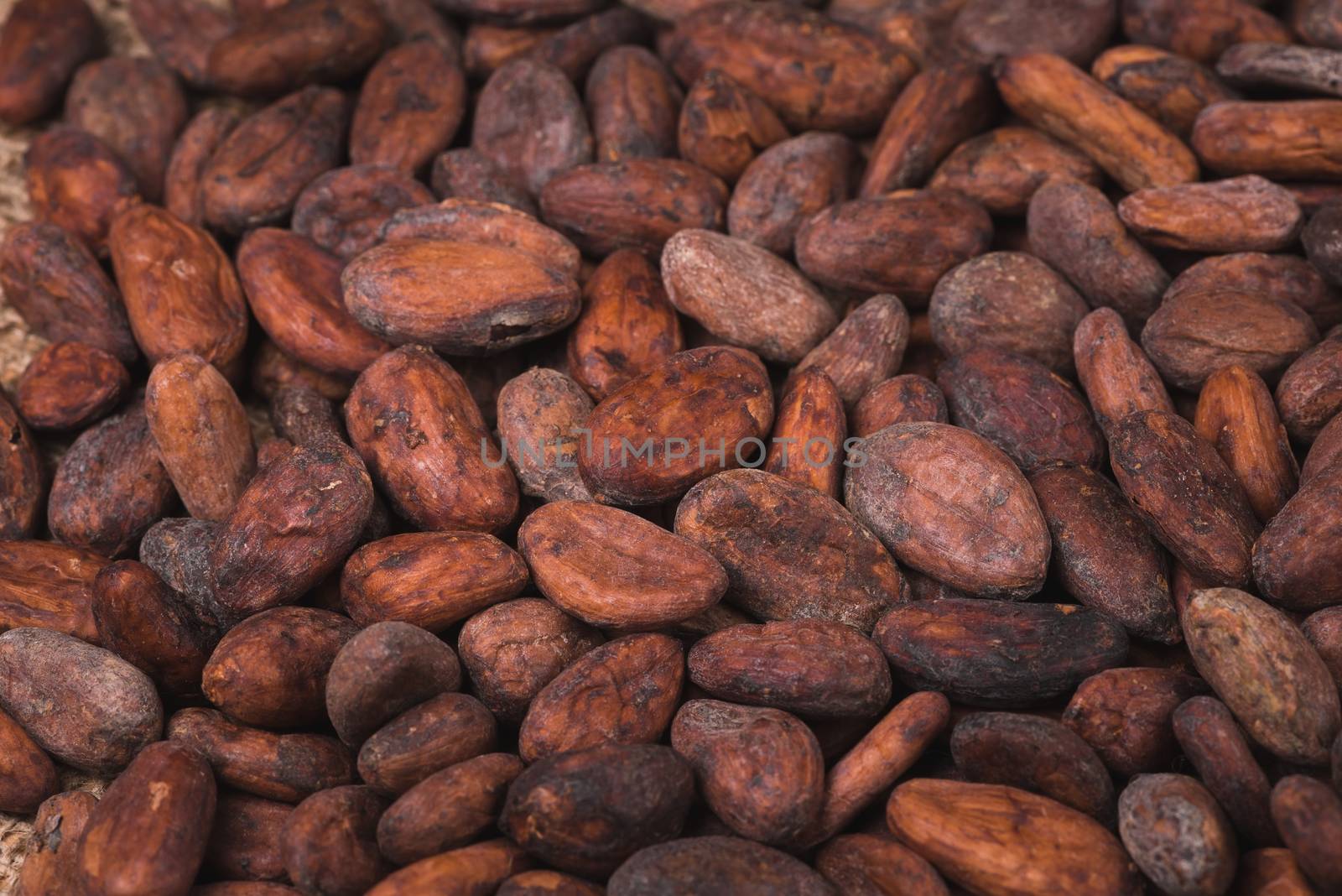 raw cocoa or cacao beans, top view,  background 