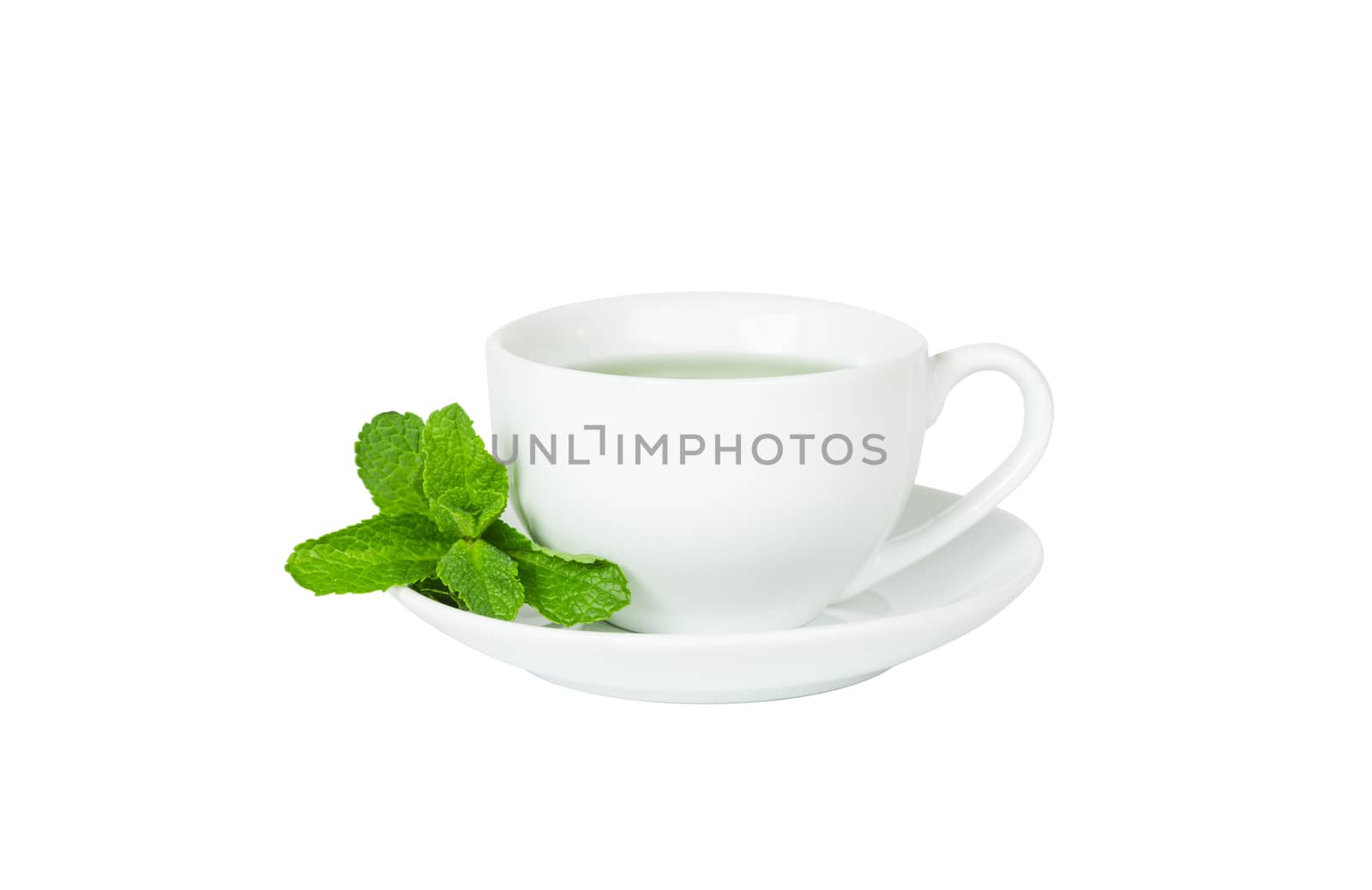 cup of mint tea, white cup, saucer and a sprig of fresh mint isolated on white background