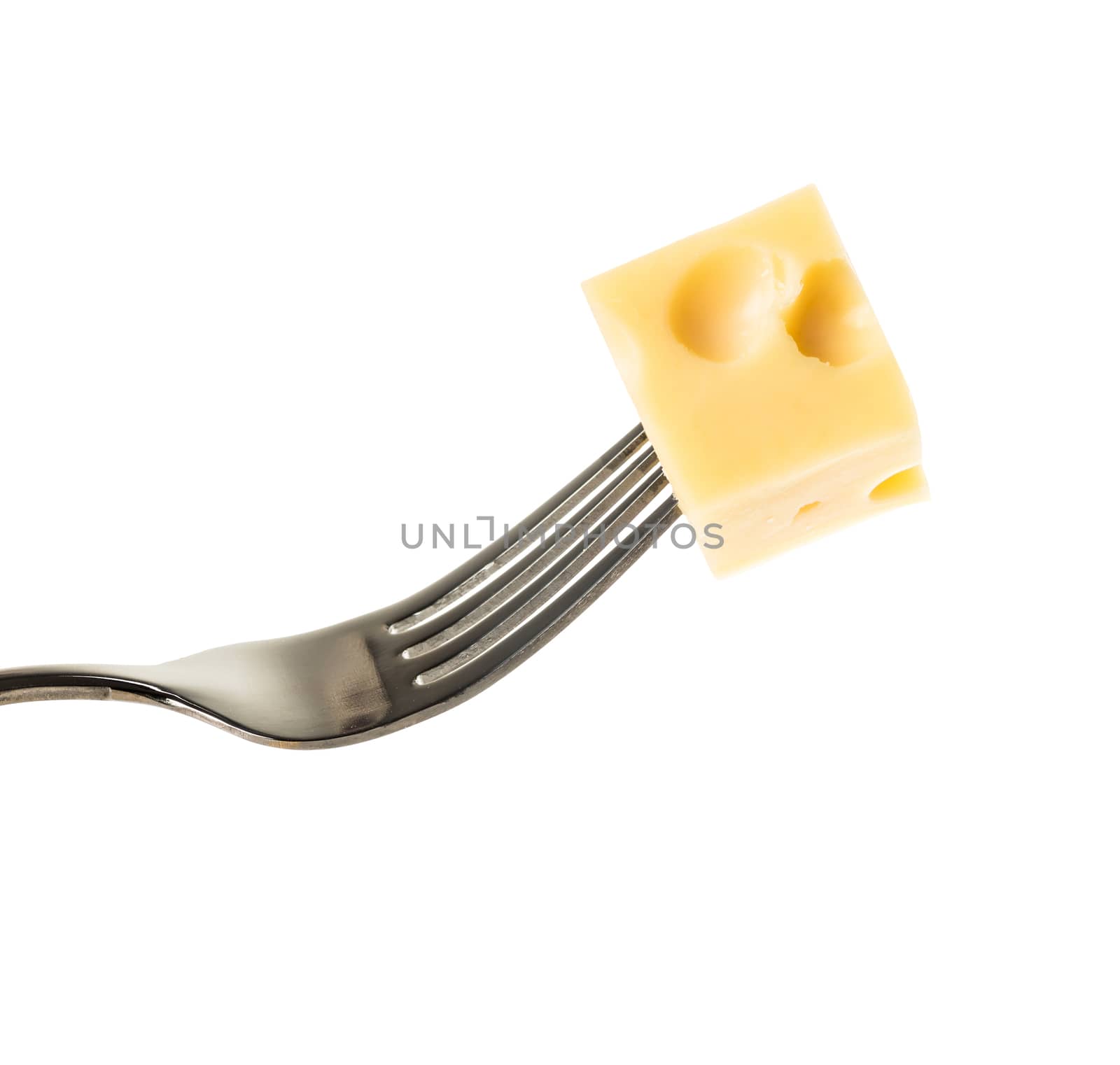 a piece of cheese on an iron fork on a white background isolated