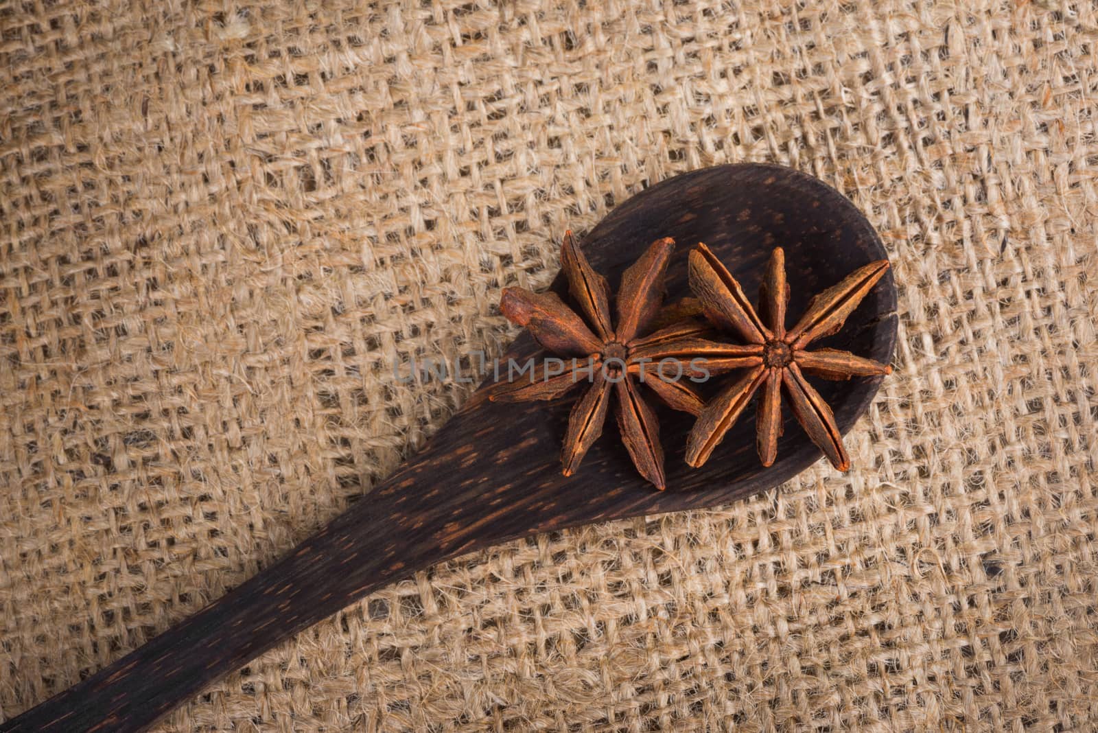 Spice star anise in a wooden spoon on sacking