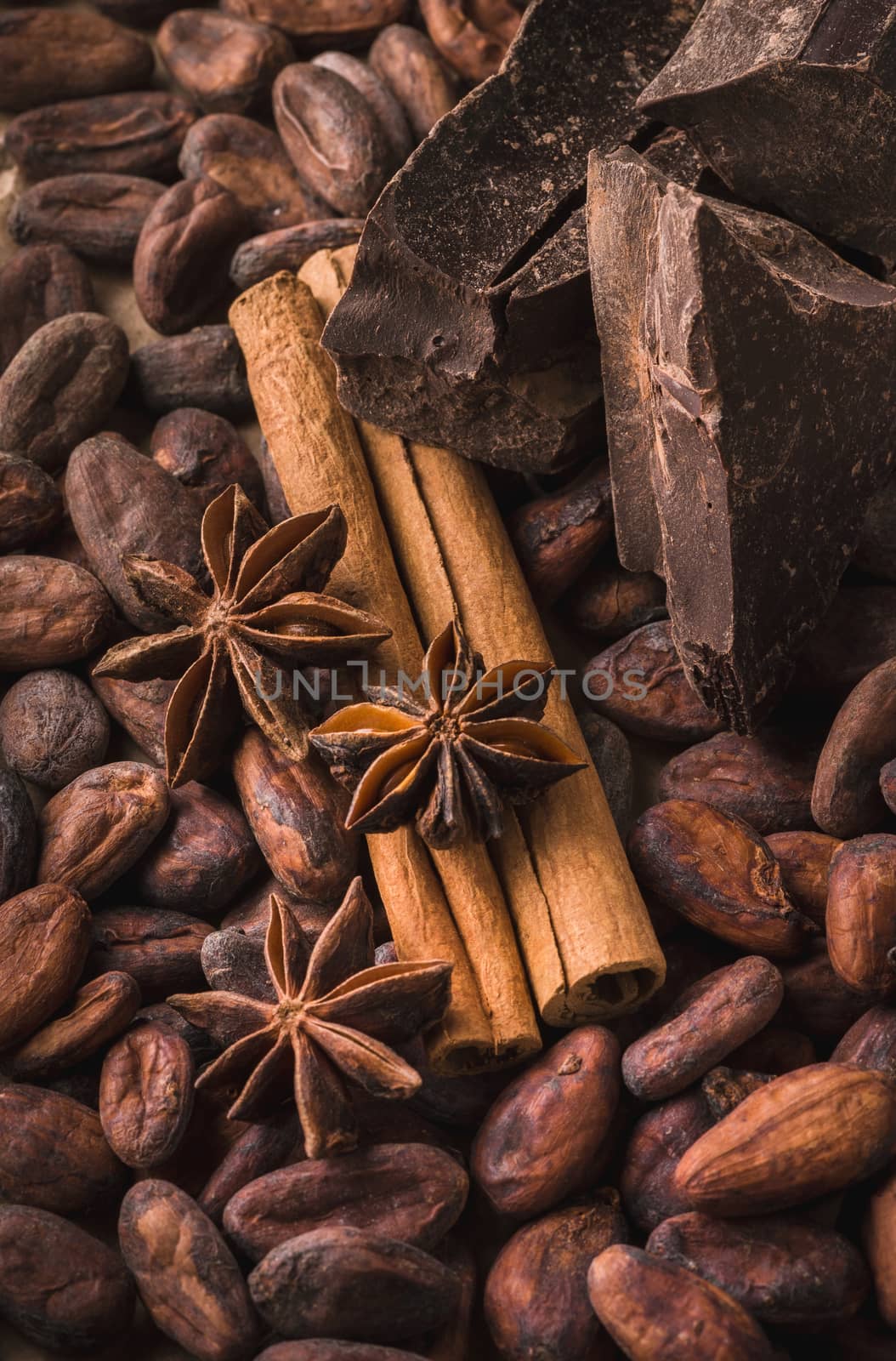 Raw cocoa beans, delicious black chocolate, cinnamon sticks, star anise,  beautiful composition, top wiew