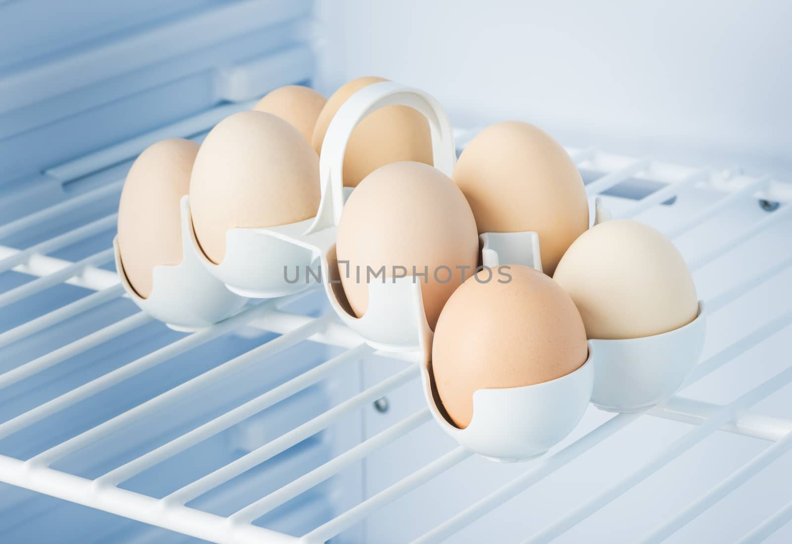 eggs in a stand on a shelf in a refrigerator