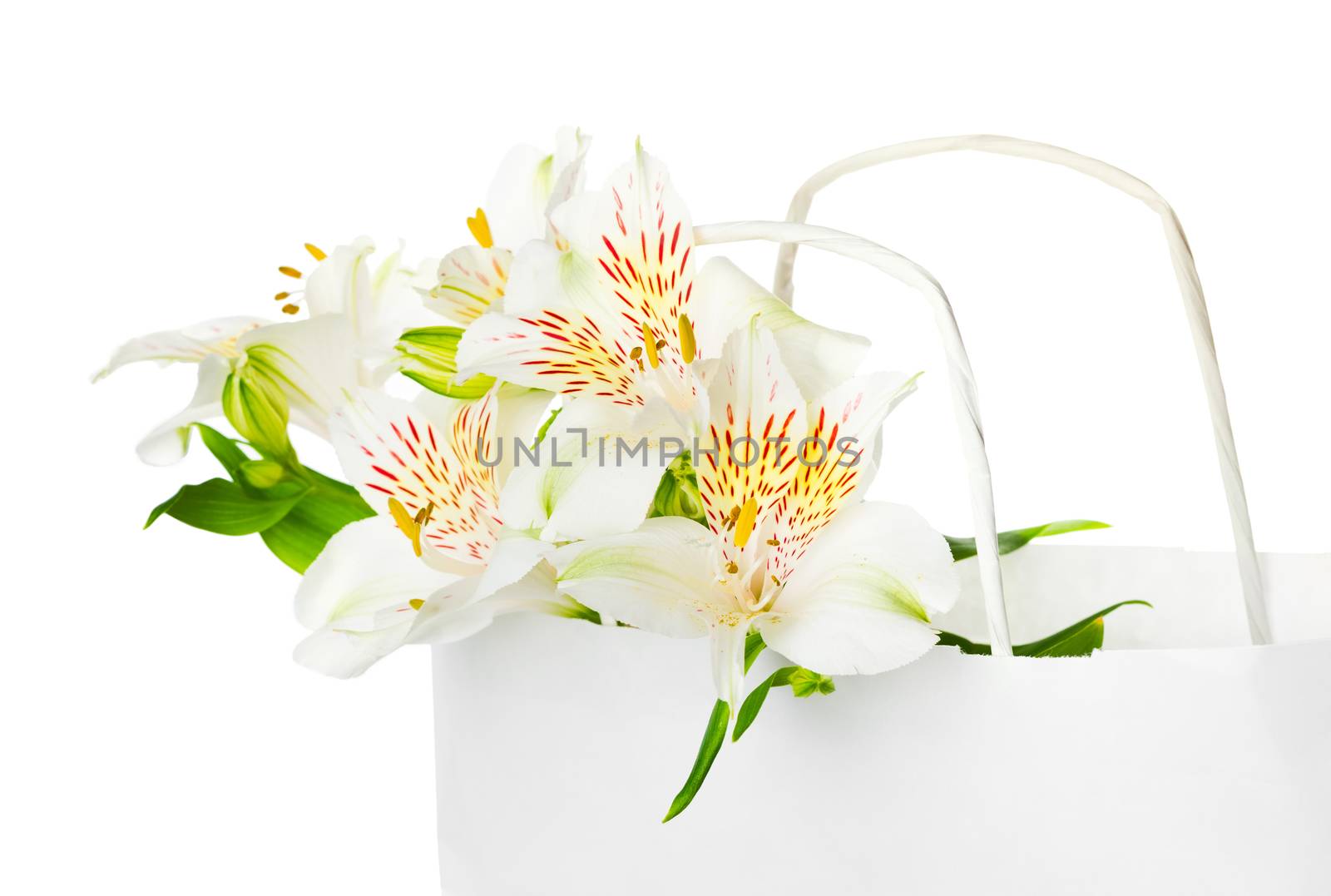 Beautiful bouquet of white alstroemeria flowers in a paper bag for mother's day, birthday, greeting concept, Isolated on white background