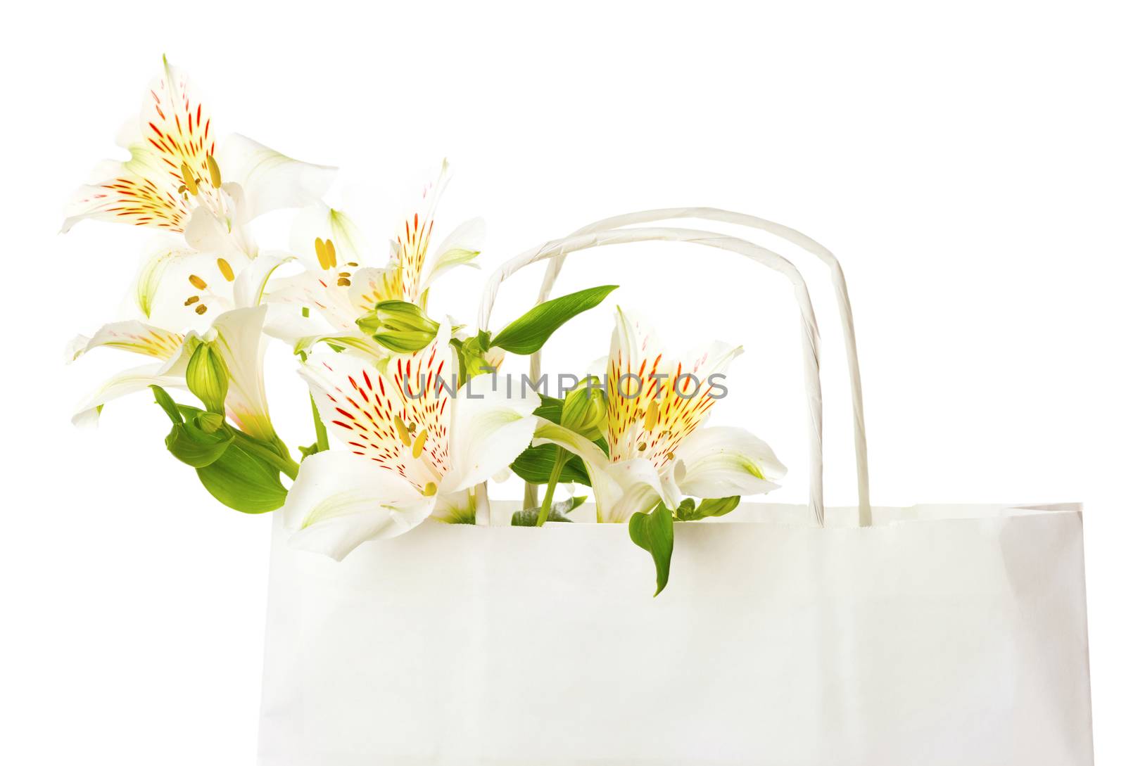 Beautiful bouquet of white alstroemeria flowers in a paper bag for mother's day, birthday, greeting concept, Isolated on white background