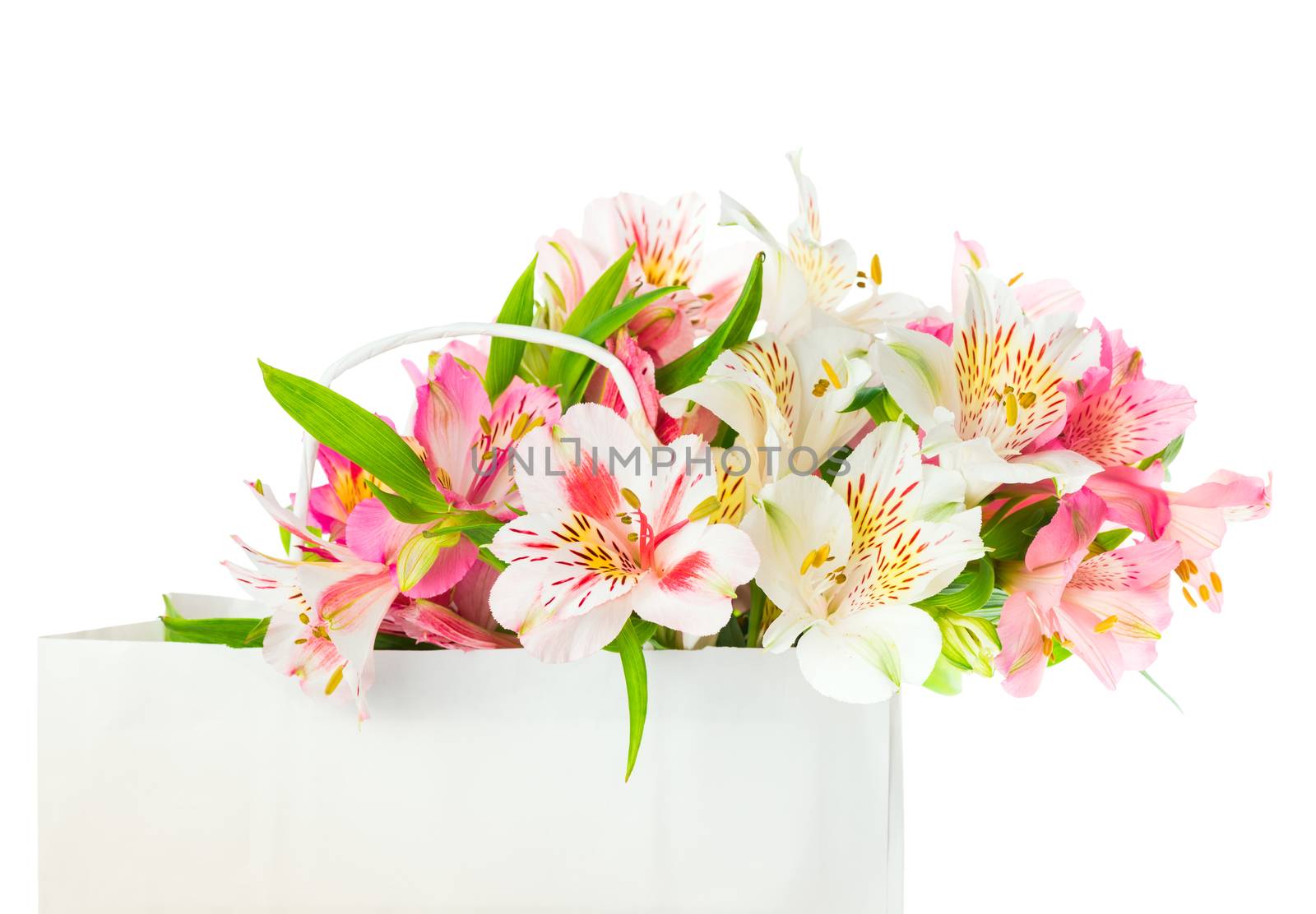 Beautiful bouquet of white and pink alstroemeria flowers in a paper bag for mother's day, birthday, march 8, greeting concept