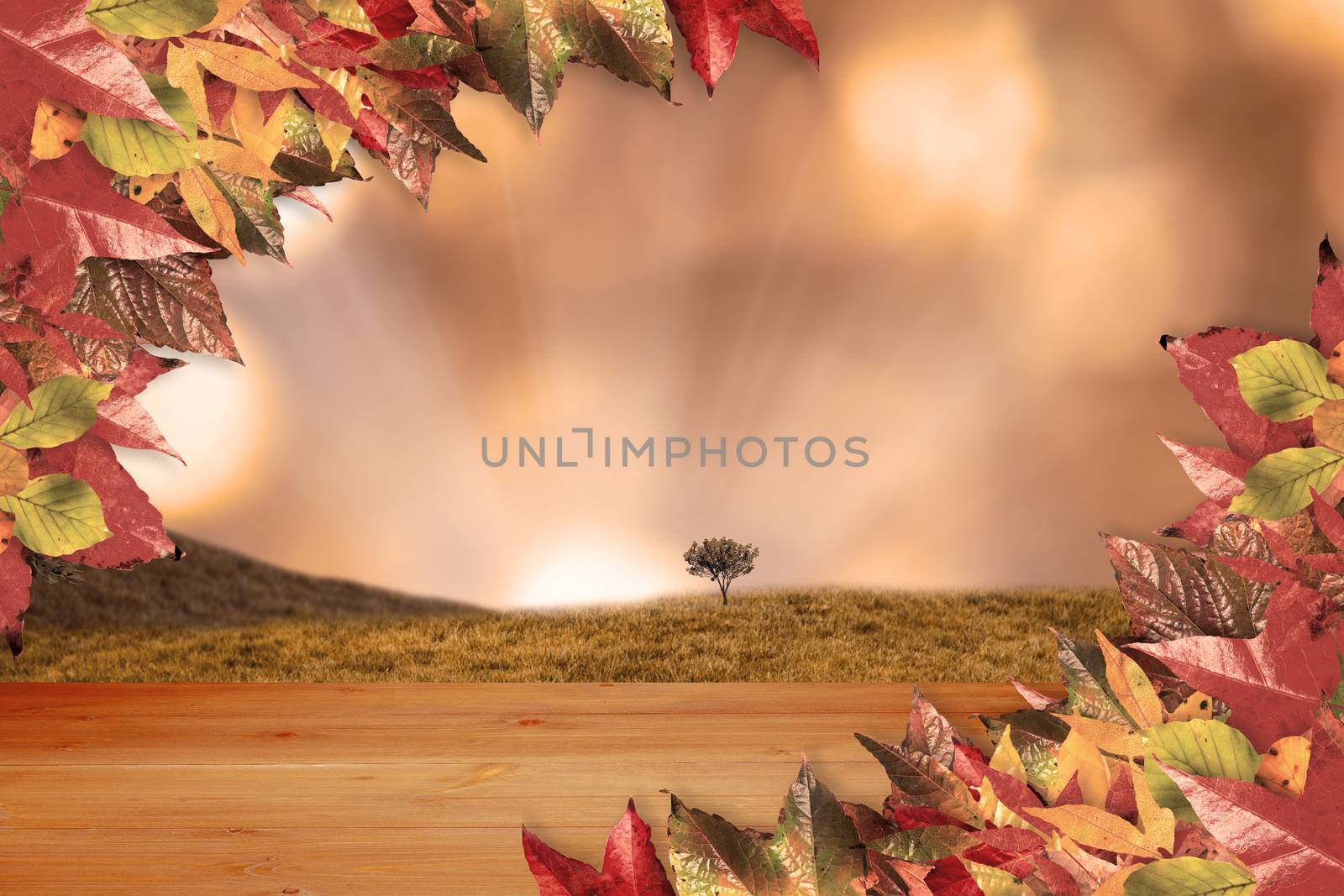 Autumn leaves pattern against bleached wooden planks background