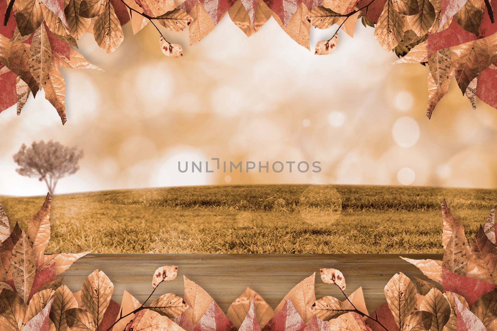 Autumn leaves pattern against bleached wooden planks background