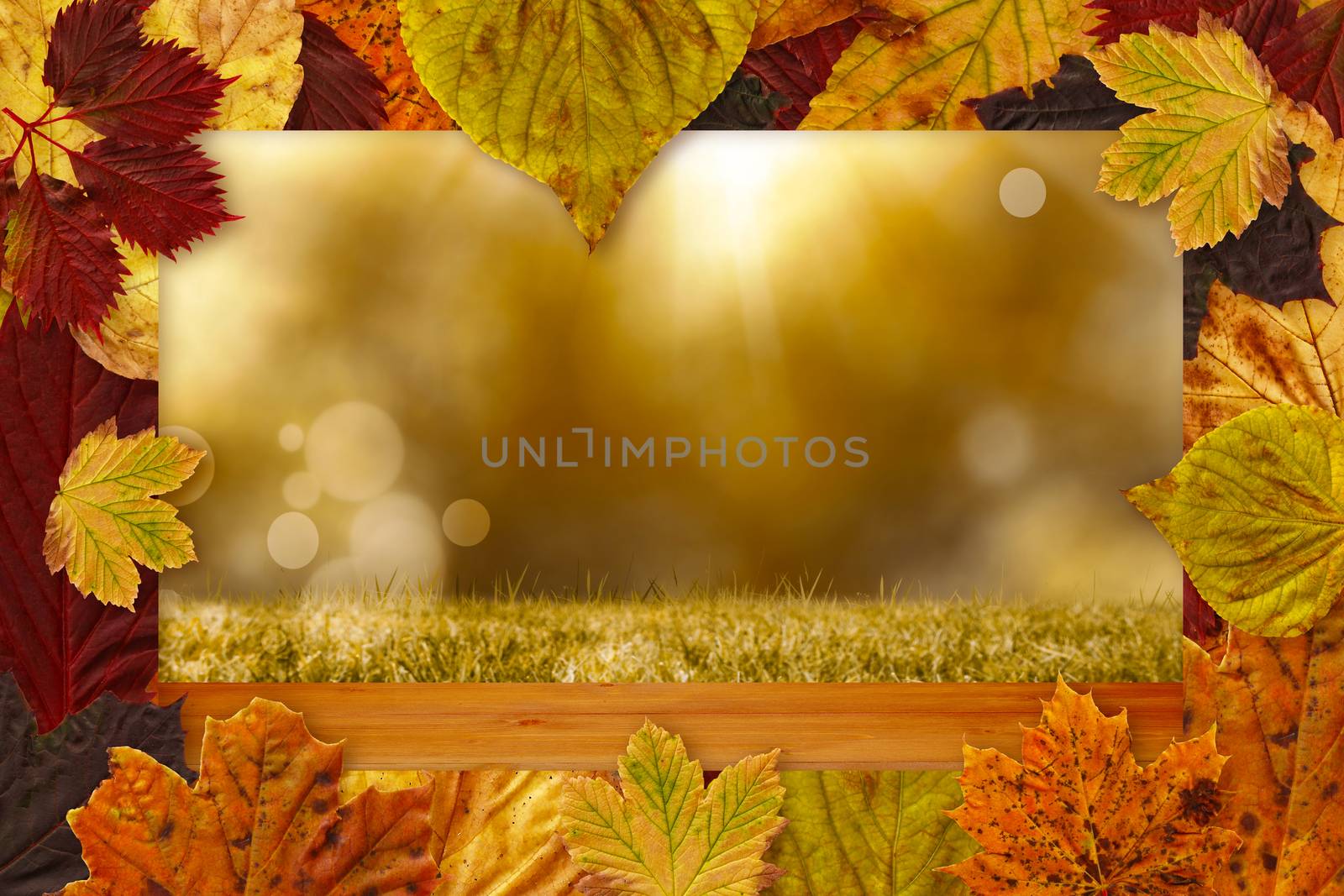 Composite image of autumn leaves pattern by Wavebreakmedia