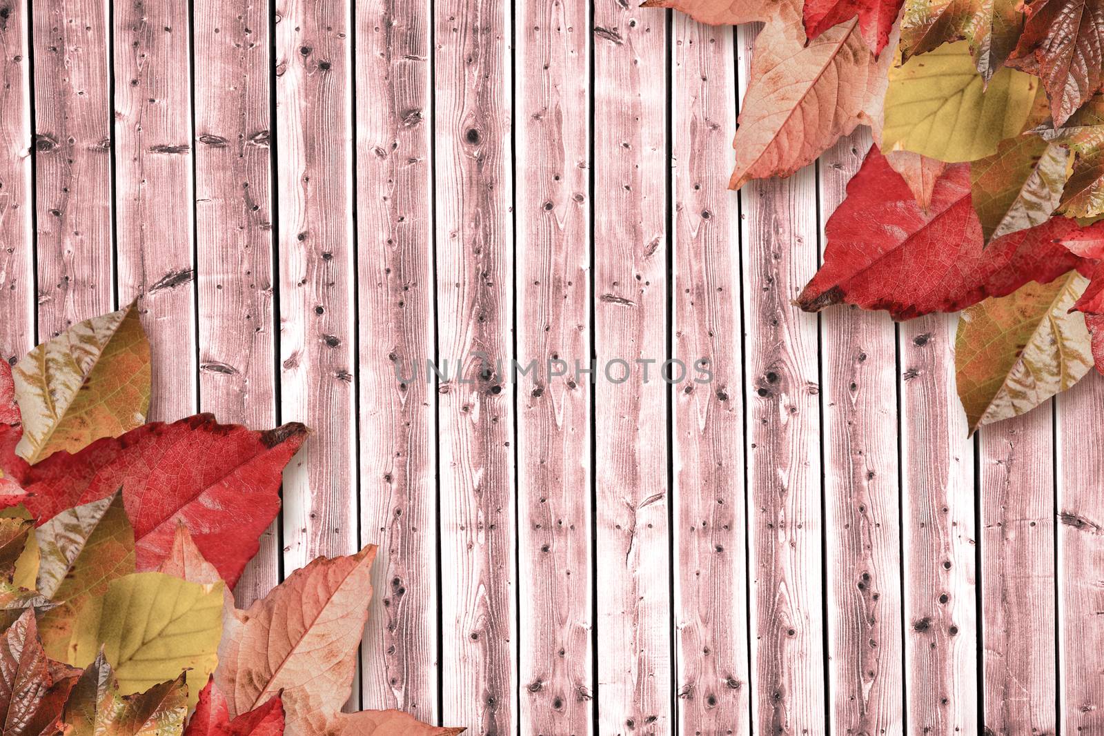 Autumn leaves pattern against wooden planks background