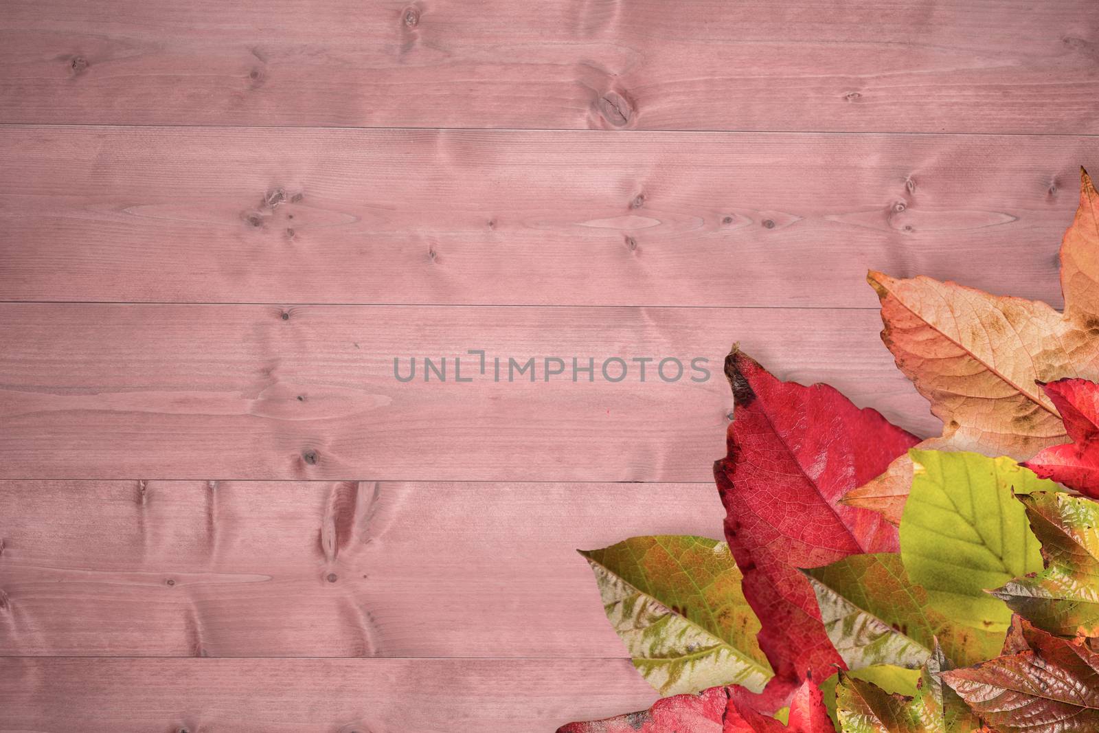 Composite image of autumn leaves pattern by Wavebreakmedia