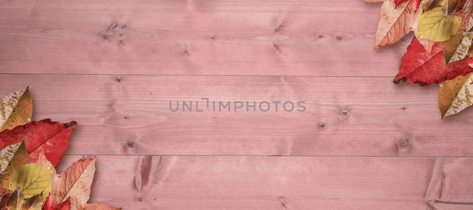 Autumn leaves pattern against bleached wooden planks background