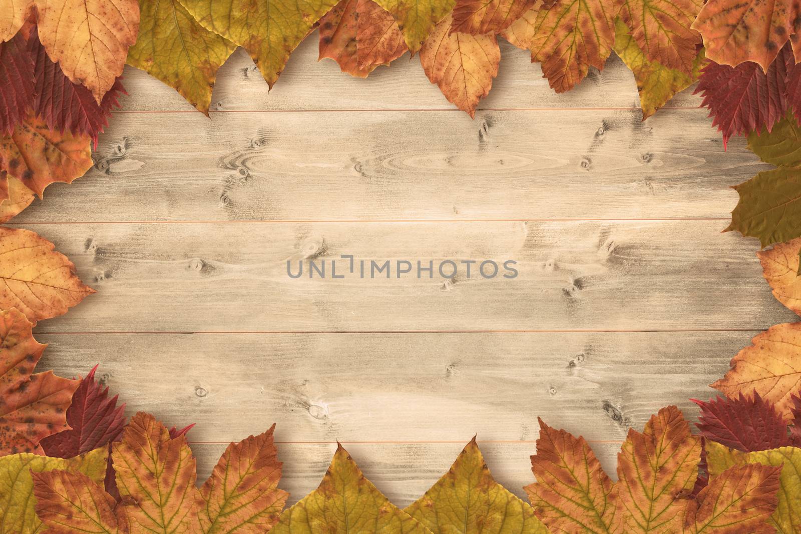 Composite image of autumn leaves pattern by Wavebreakmedia