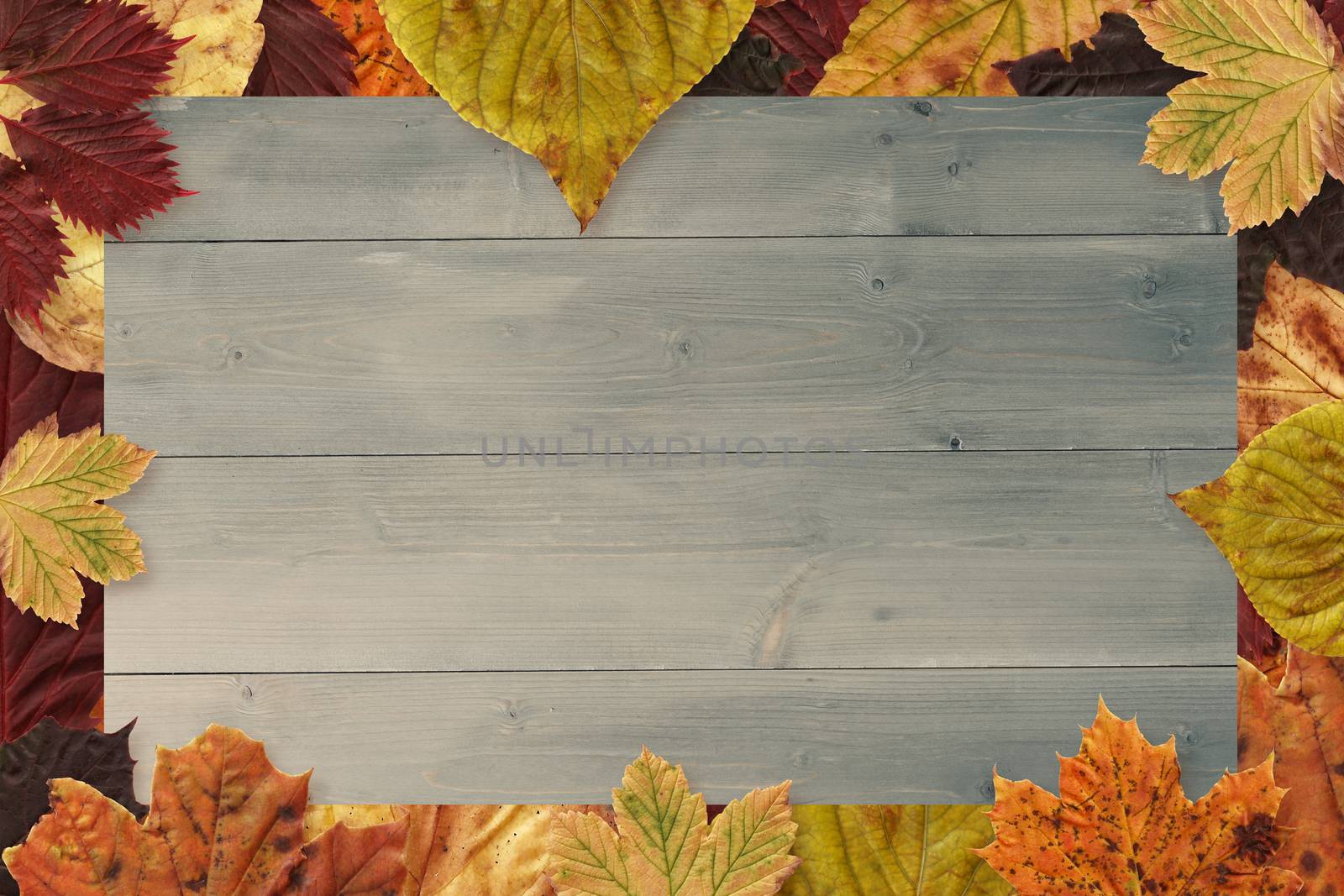 Autumn leaves pattern against bleached wooden planks background