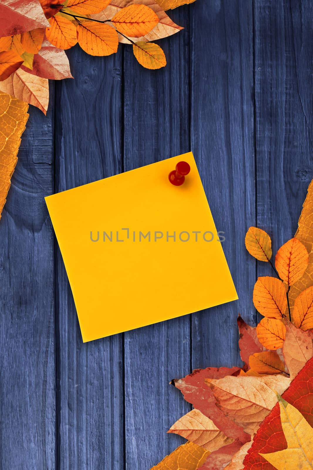 Digital image of pushpin on yellow paper  against autumn leaves on wood
