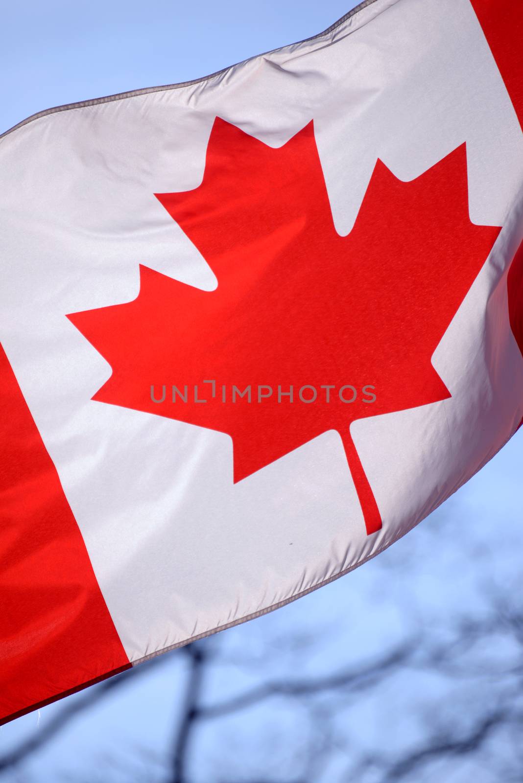 Close up of canadian flag waving against the sky