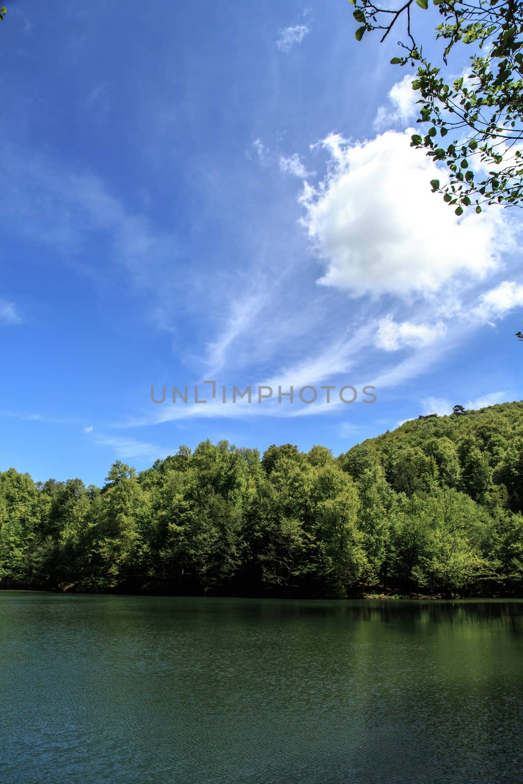 View of smooth lake surrounded by forest among mountains, on cloudy sky background.