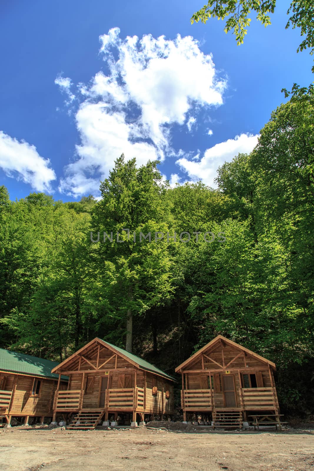 Side view of small wooden bungalows among trees in forest, on blue sky background.