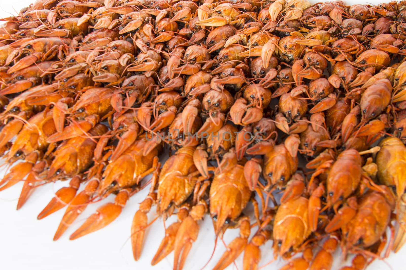 Photo of background with red boiled crawfishes