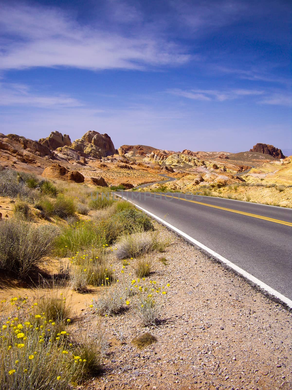 Long winding road through Valley of Fire State Park by emattil