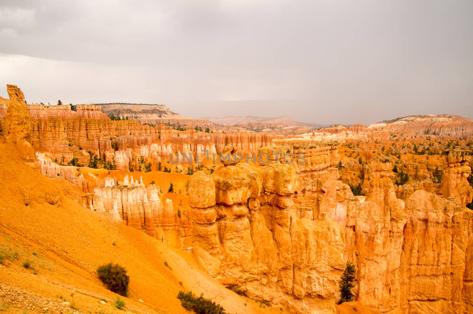 Bryce Canyon National Park, Utah USA after the storm