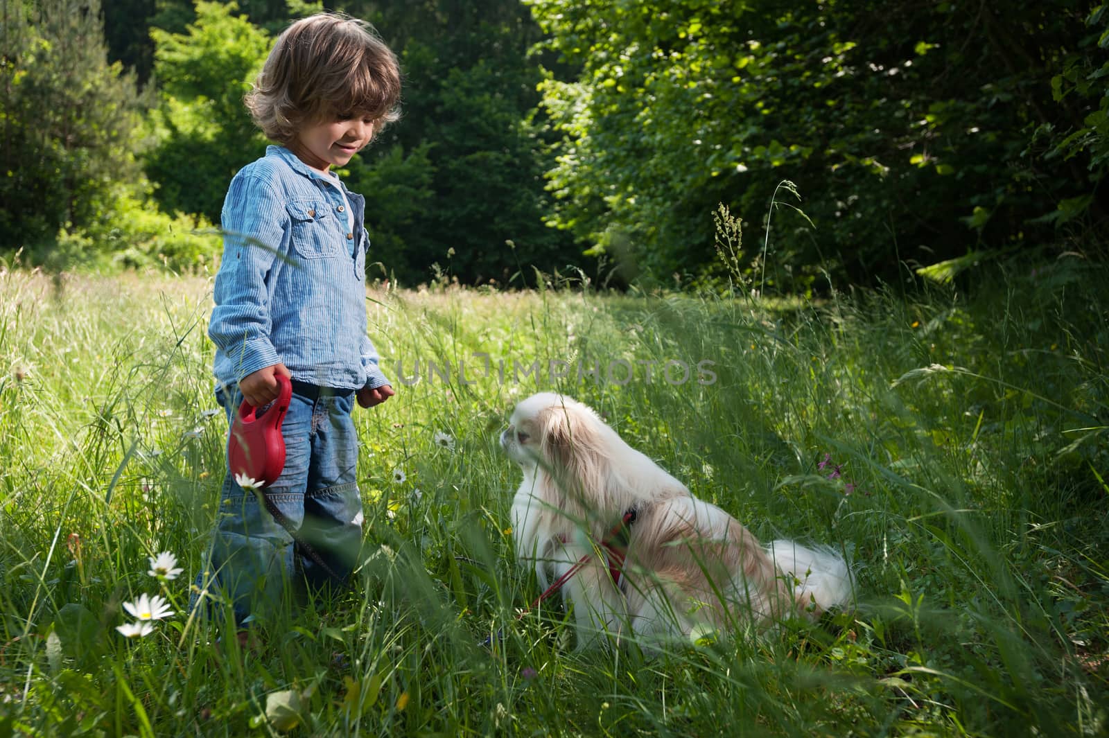 Cute little boy walking his dog in nature