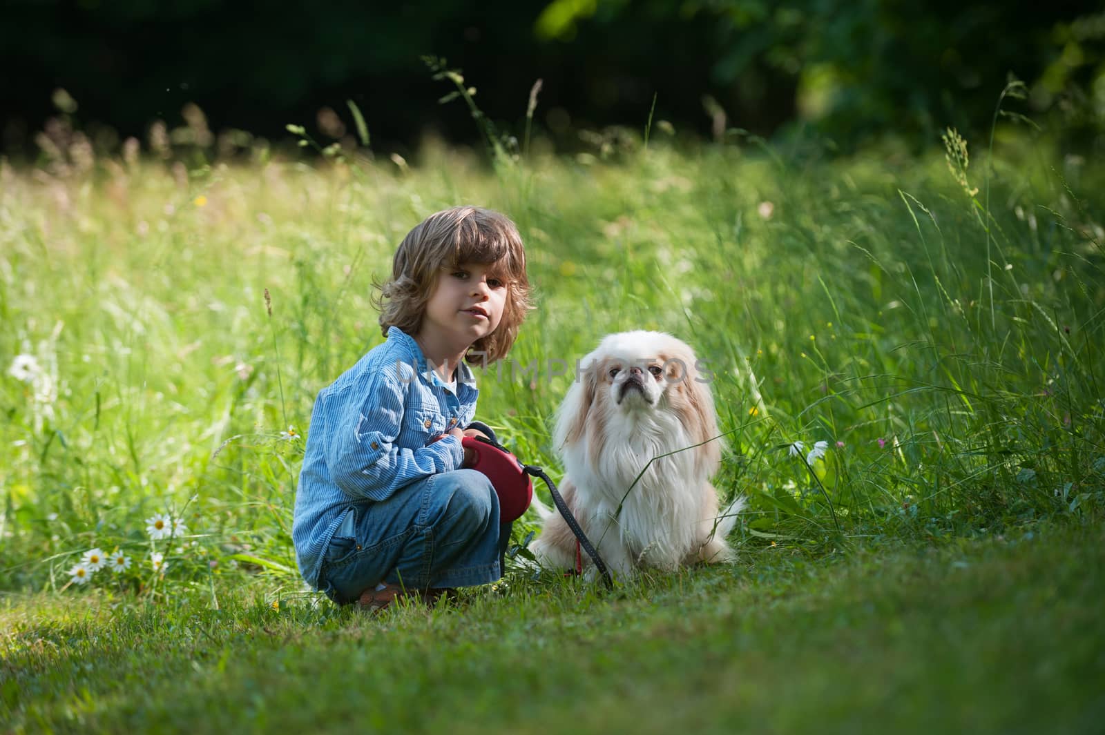Cute little boy with his dog in nature