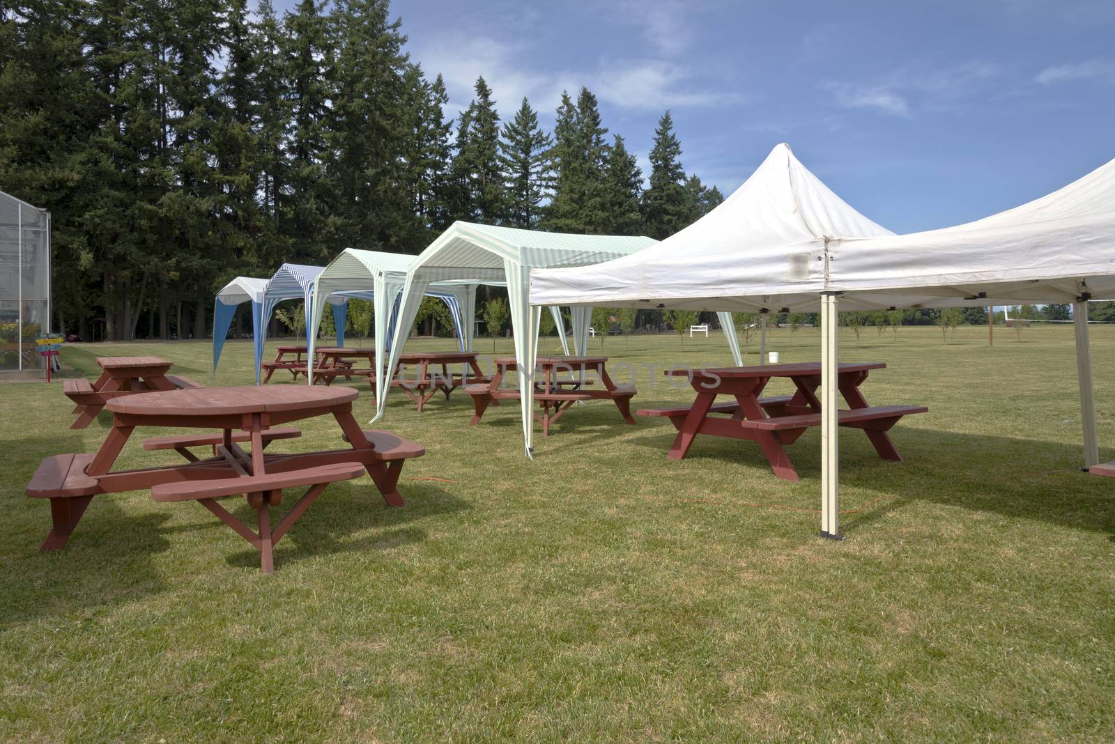 Picnic tables and tent gazebos on outdoor lawn. by Rigucci