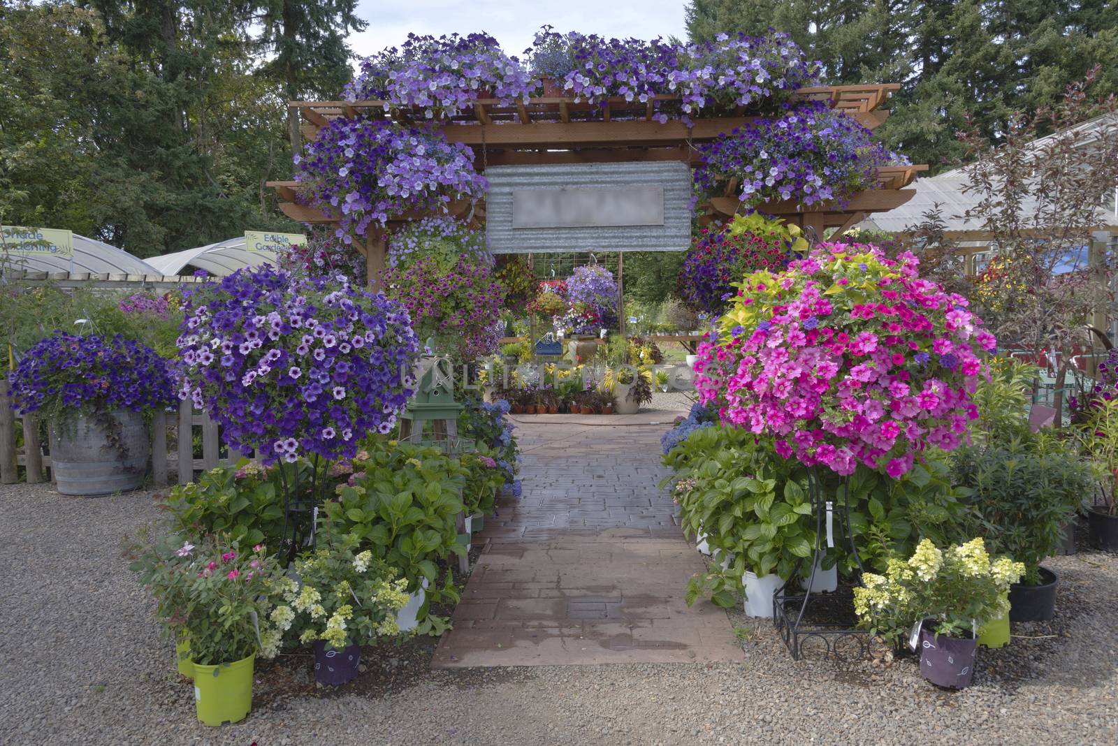 Farm and garden nursery in Canby Oregon. by Rigucci