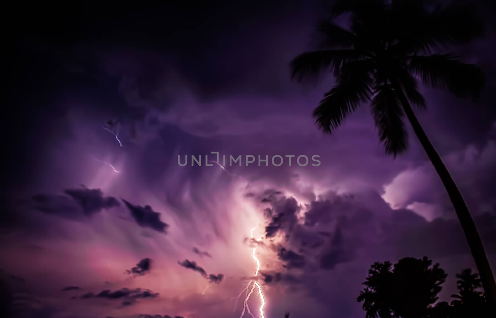 Lightning Over Florida, USA, Night