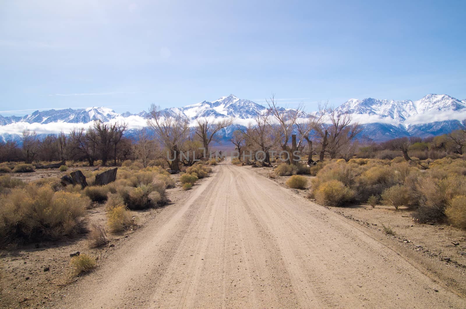 Dirt road leads to snow covered Sierra Nevada mountains in Sprin by emattil